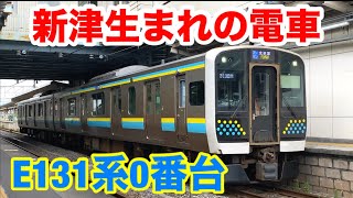 新津生まれの電車 E131系0番台を見てきた！