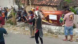 karnaval desa ngimbang, palang, tuban