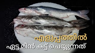 എളുപ്പത്തിൽ ഏട്ട മീൻ കട്ട് ചെയ്യുന്നത് / Etta fish cutting