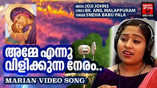 അമ്മേ എന്ന് വിളിക്കുന്ന |Christian Devotional Video Song | മരിയൻ ഗാനം | ജോജി ജോൺസ്| ബ്ര.അനിൽ മലപ്പുറം