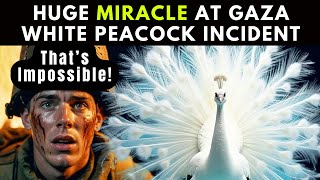 A HUGE MIRACLE AT GAZA- THE WHITE PEACOCK INCIDENT