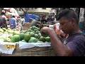 বাগান থেকে আম নামাতে শুরু করেছেন চাষিরা picking mango mango garden ekhon tv