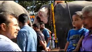 Kochanakulangara temple festival 2023 | Kayyipuram | Alappuzha