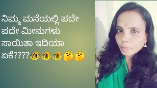 ನಿಮ್ಮ ಮನೆಯಲ್ಲಿ ಸಾಕಿರುವ ಮೀನುಗಳು ಪದೇ ಪದೇ ಸಾಯ್ತ ಇದಿಯಾ? ಯಾಕೆ?🤔🤔🐟🐟