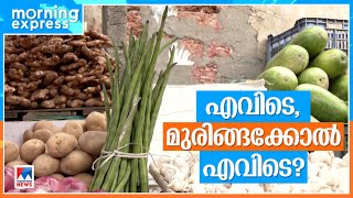 മുരിങ്ങക്കോലിന് തീവില, കിലോയ്ക്ക് 400 രൂപ | kozhikode  | Muringakka price