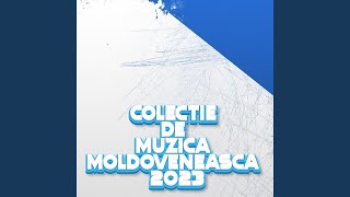 Colaj Petrecere Moldoveneasca Super hituri de petrecere top Chef 2023