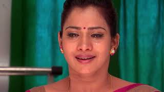 Kalyana Vaibhogam - Ep 582 - Meghana Lokesh - Telugu Tv Serial - Zee5 Telugu Classics