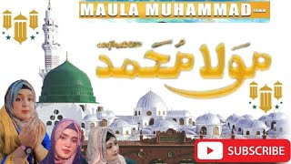 Mola Muhammad New Naat e Rasool Maqbool ❤️✨