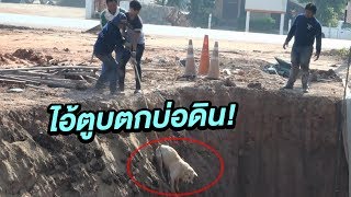 กู้ภัยช่วยสุนัขตกบ่อดินแช่น้ำ | 25-12-60 | เช้าข่าวชัดโซเชียล