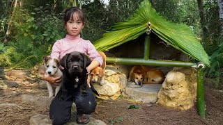 Giang's Epic DIY Dog House | The Lost Girl