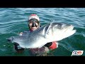 bretagne spearfishing cpes