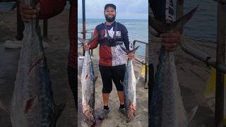 KING MACKEREL aka KINGFISH  #fishing #fish #fisherman