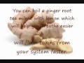 Lung Cleanse Guide Lung Cleanse Guide
