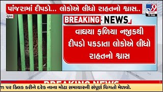 Fierce leopard trapped in cage, villagers relived | Surat | TV9GujaratiNews