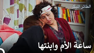 أنت فقط من يجلب لي الخير - مسلسل الطائر المبكر الحلقة 76