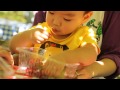 子動画 デラウェアは皮ごと食す（雅秋園） 2015 9