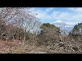 今の富士山 2023.2.1 富士市、岩本山公園