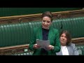 carla denyer s maiden speech