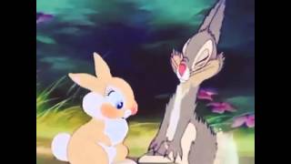 Thumper in Love β‘ | Vanilla Vlogs