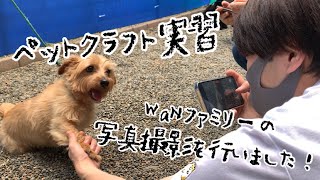 【ペットクラフト実習】WaNファミリーの写真撮影を行いました！ 動物専門学校トリマー 動物看護師　アクアリウム 動物のお仕事