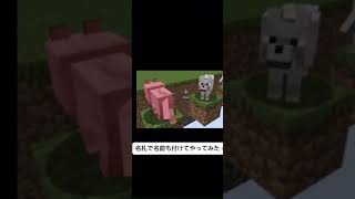 名札で名前も付けてやってみた！#マイクラswitch#マインクラフト