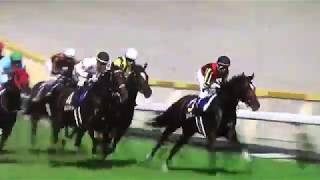 【競馬】第78回優駿牝馬　レース速報