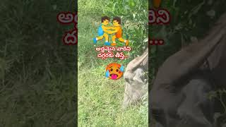 #మంచికి రోజులు లేవు.. #motivation #youtubeshorts #shortvideo #shortsviral #viralshort #shorts #short