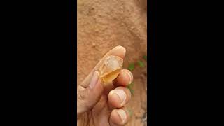 ត្បូងថ្មធម្មជាតិ នៅលើភ្នំ  Natural gemstones