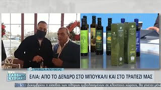 Λάδι από την Πρέβεζα από τη νέα γενιά ελαιοπαραγωγών τυποποιητών EΡΤ 27/11/2021