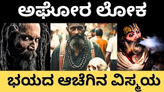 ಭಯವನ್ನೂ ಮೀರಿದ ಅಘೋರ ಪಂಥ | ಕುಂಭ ಮೇಳದ ಆಚೆಗಿನ ನಿಗೂಢ ಜಗತ್ತಿನ ಅನಾವರಣ #kumbhmela