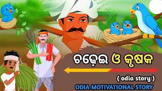 Chadhei o Krushak | The Bird and Farmer Story | odia stories | odia gopo | Odia Motivational Story