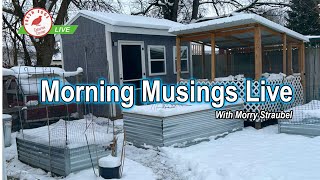 Morning Musings - Coturnix Corner