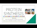 PROTEIN SYNTHESIS | AQA GCSE Biology & Combined Sciences ~ Biology with Gracie