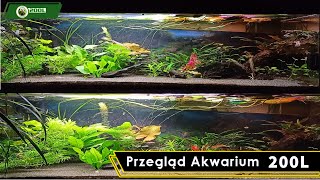 Przegląd Akwarium 200L