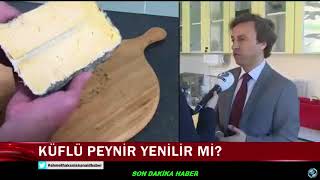 Küflü peynir yenir mi? Hangi peyniri yemeliyiz ?