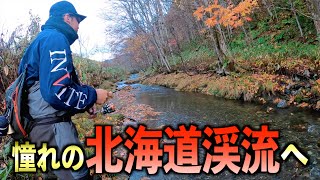 【不思議】小さな川でもでかい魚が居るらしい‼︎