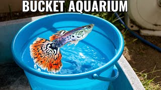 Mind-Blowing: Creating an Aquarium in a Bucket!