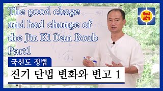 Kouksundo Jeongbeop - Jinki-danbeop, Positive changes and negative symptoms, Part I