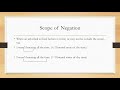 Scope of Negation