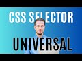 How To Use CSS SELECTORS - UNIVERSAL