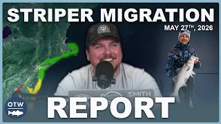 Striper Migration Report | May 27, 2026