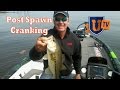 Post Spawn Cranking with Davy Hite