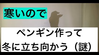 【手影絵】あの日見たペンギンの作り方を僕達はまだ知らない。