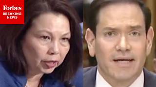 'When Do I Get To Talk Here?': Rubio And Duckworth Have Acrimonious Exchange About Trump Diplomacy