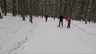 Лыжная тренировка, прогулка. 02.03.25.