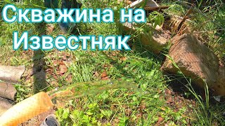 Абиссинка на известняке