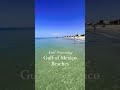 madeira beach florida things to do tampa bay