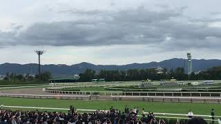 第80回 菊花賞 武 豊騎手 勝利騎手インタビュー