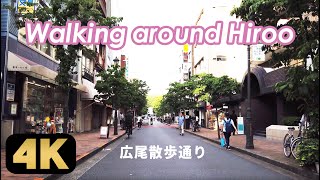 【Hiroo】セレブタウンながら庶民的な一面も覗かせる渋谷区広尾の散歩通りを歩く [4K]