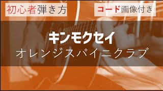 【初心者向け指引き】キンモクセイ/オレンジスパイニクラブ